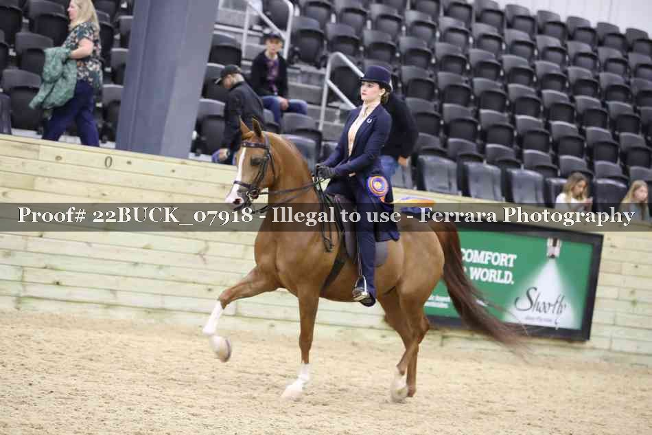 Proof 22BUCK_07918
