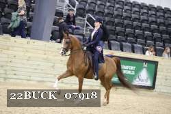 22BUCK_07918 proof