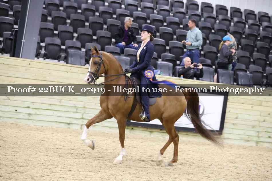 Proof 22BUCK_07919