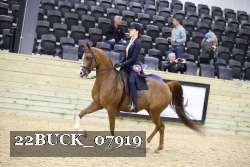 22BUCK_07919 proof