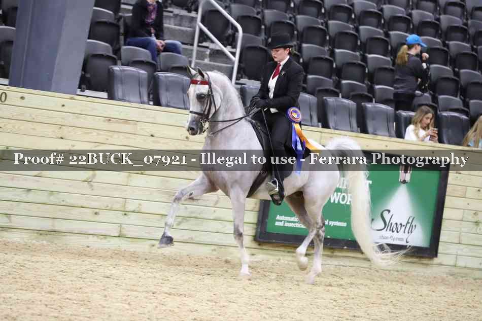 Proof 22BUCK_07921