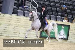 22BUCK_07921 proof