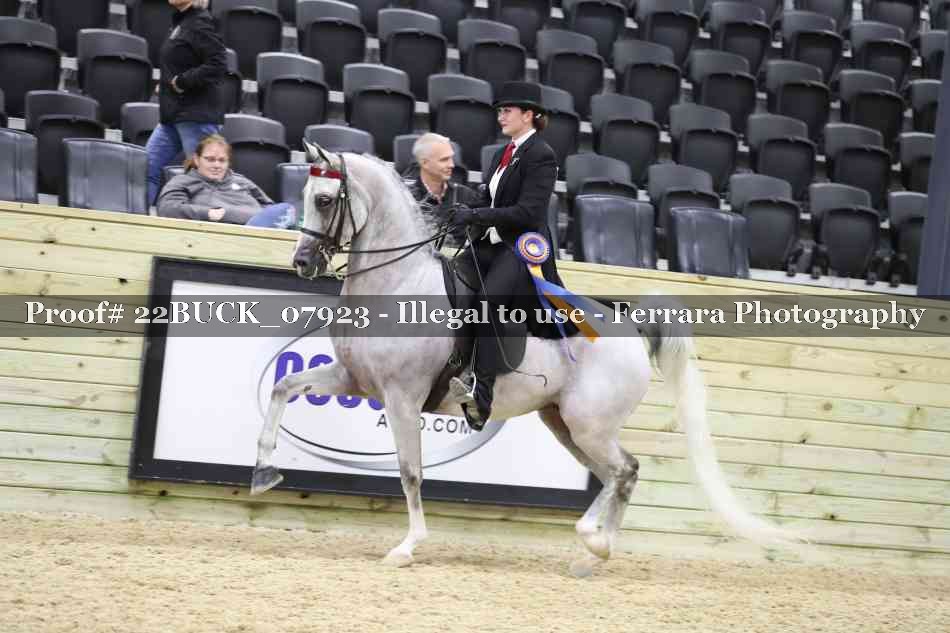 Proof 22BUCK_07923
