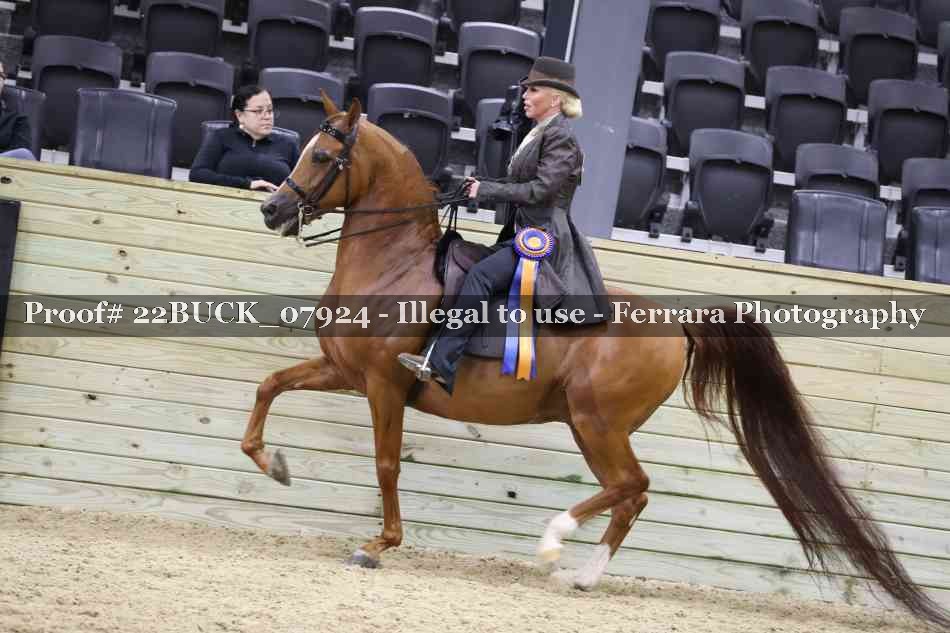 Proof 22BUCK_07924