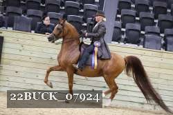 22BUCK_07924 proof