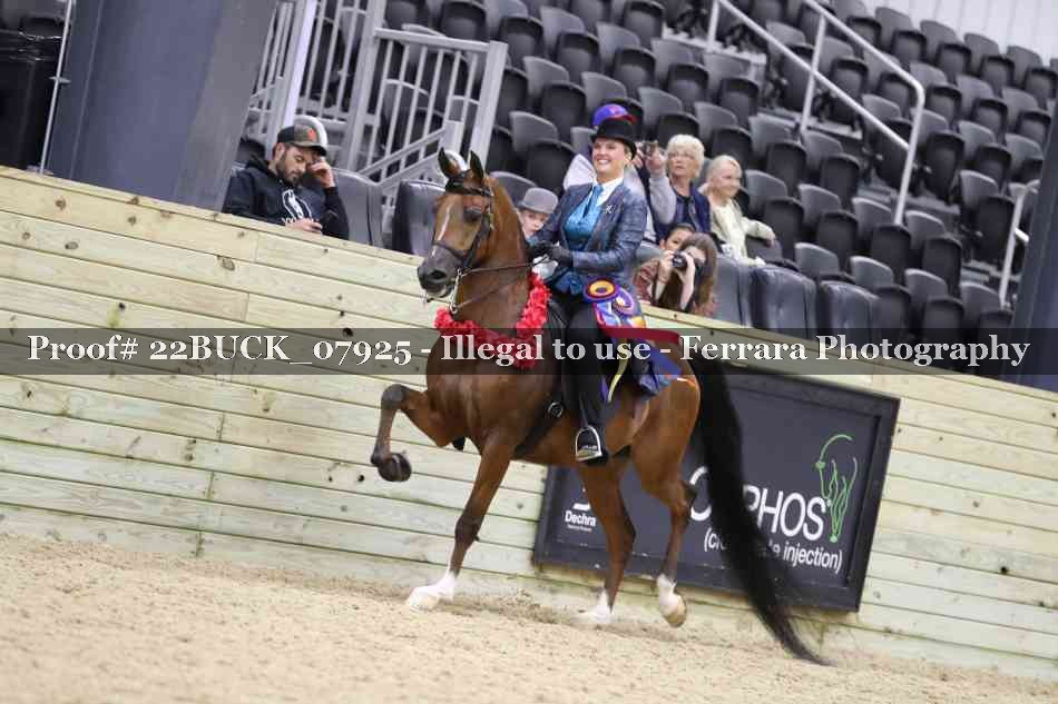 Proof 22BUCK_07925