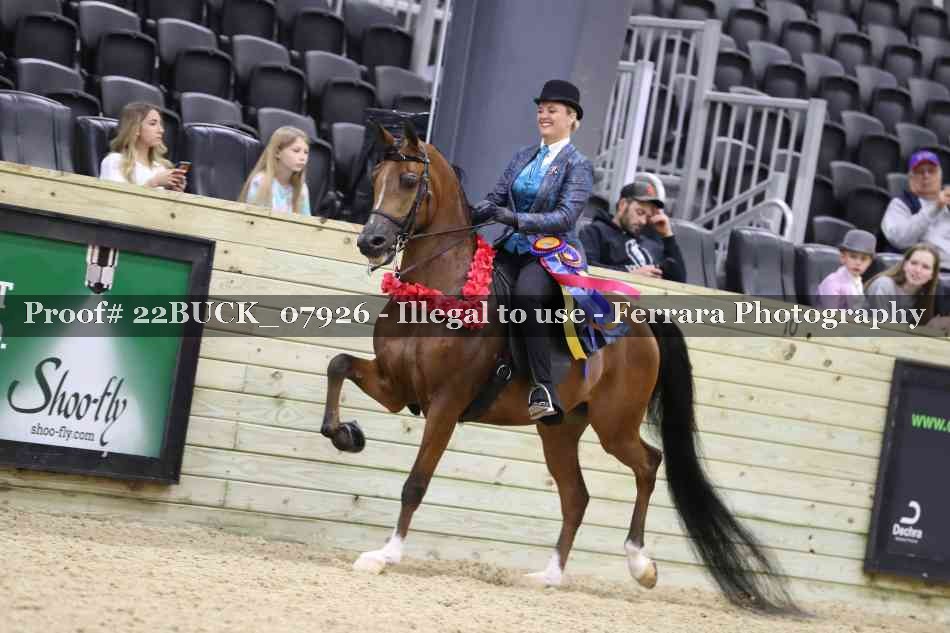 Proof 22BUCK_07926