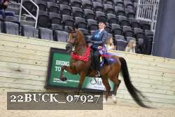 22BUCK_07927 proof
