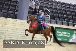 22BUCK_07928 proof