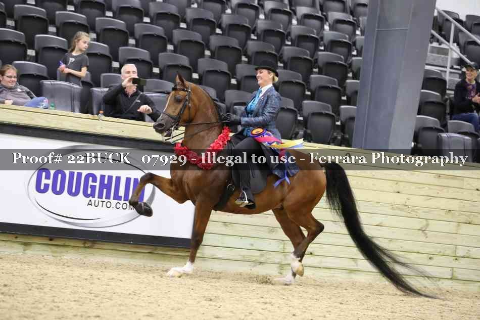 Proof 22BUCK_07929