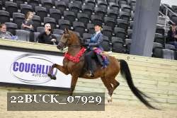 22BUCK_07929 proof