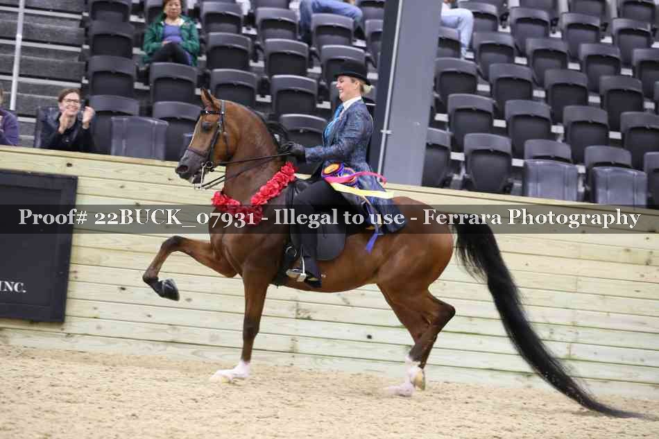 Proof 22BUCK_07931