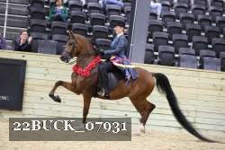 22BUCK_07931 proof