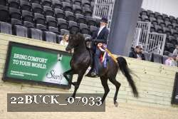 22BUCK_07933 proof