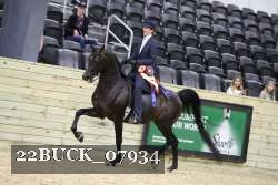 22BUCK_07934 proof