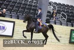 22BUCK_07935 proof