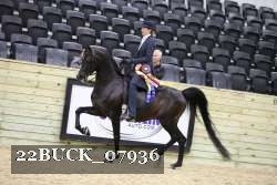 22BUCK_07936 proof