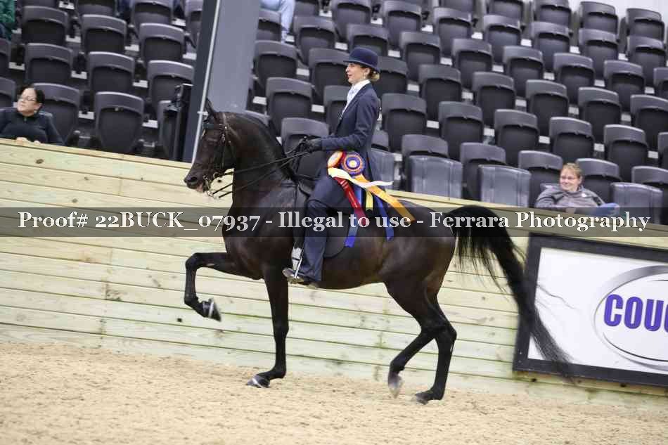 Proof 22BUCK_07937