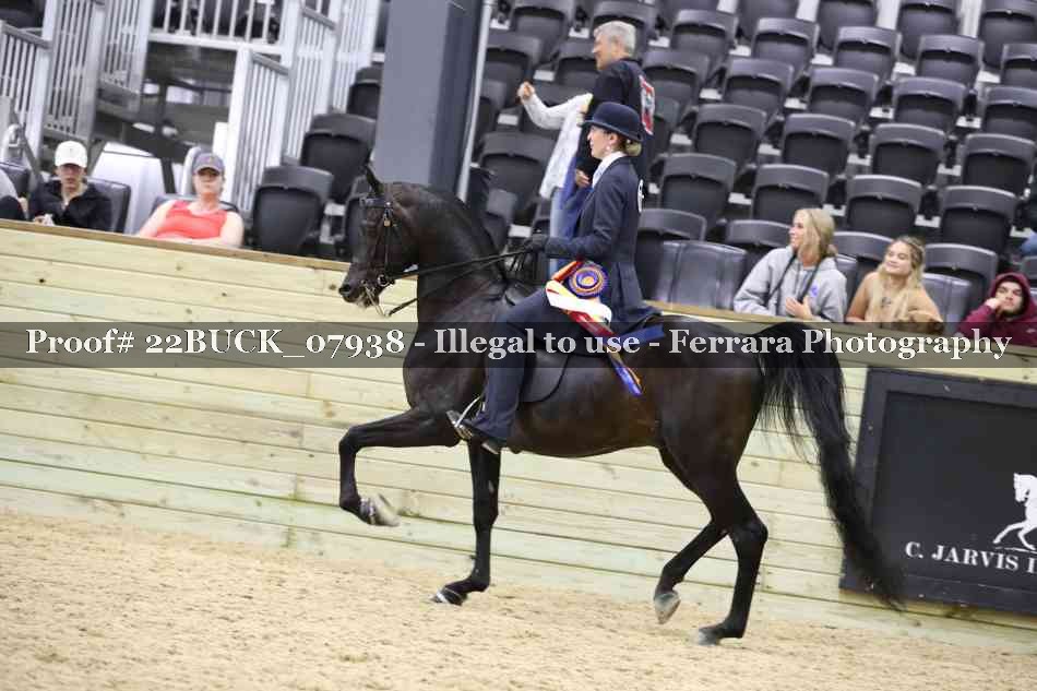 Proof 22BUCK_07938
