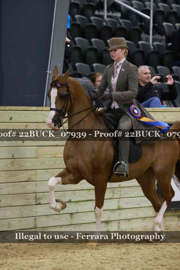 Proof 22BUCK_07939