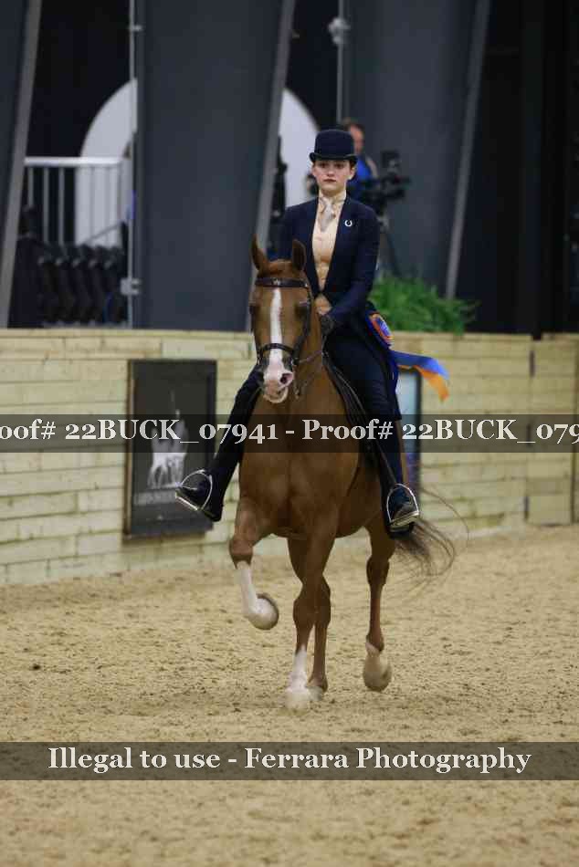 Proof 22BUCK_07941