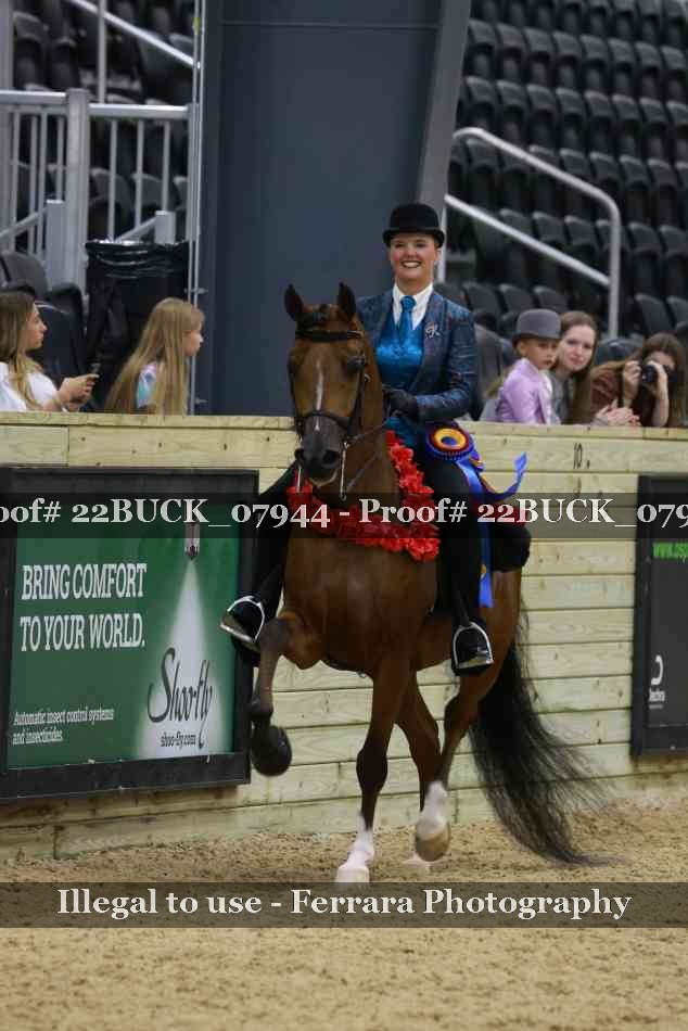 Proof 22BUCK_07944