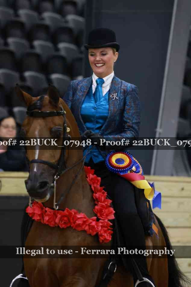 Proof 22BUCK_07948