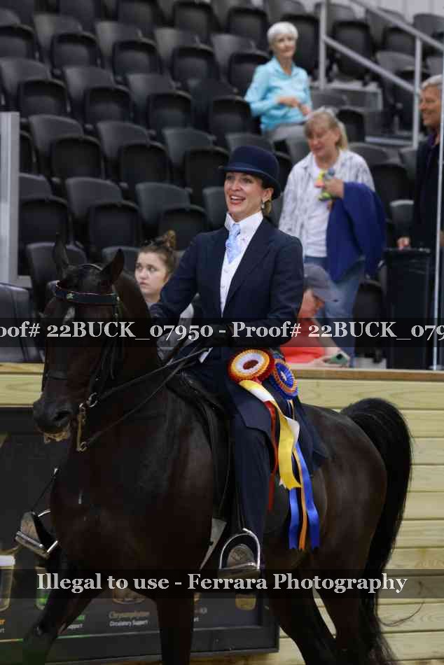 Proof 22BUCK_07950