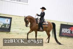 22BUCK_07952 proof