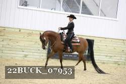 22BUCK_07953 proof