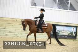 22BUCK_07954 proof