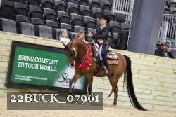 22BUCK_07961 proof