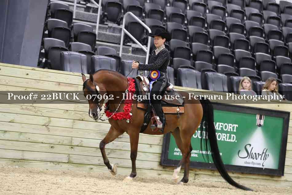 Proof 22BUCK_07962