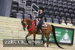 22BUCK_07962 proof