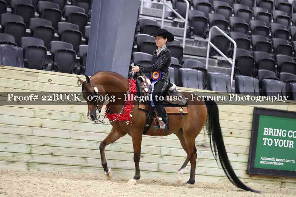 Proof 22BUCK_07963