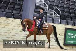 22BUCK_07963 proof