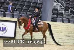 22BUCK_07964 proof