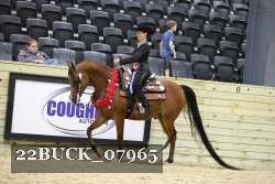 22BUCK_07965 proof