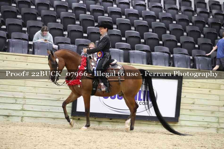 Proof 22BUCK_07966