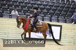 22BUCK_07966 proof