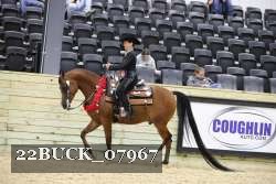 22BUCK_07967 proof