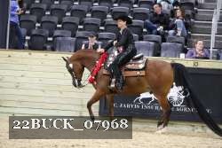 22BUCK_07968 proof