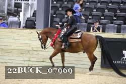 22BUCK_07969 proof