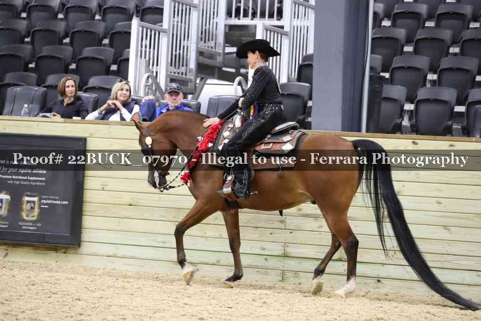 Proof 22BUCK_07970