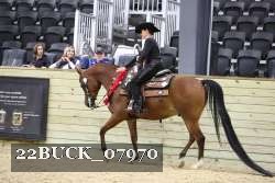 22BUCK_07970 proof