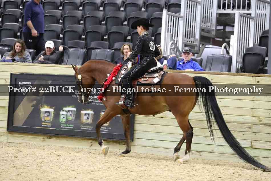 Proof 22BUCK_07971
