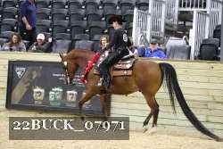 22BUCK_07971 proof
