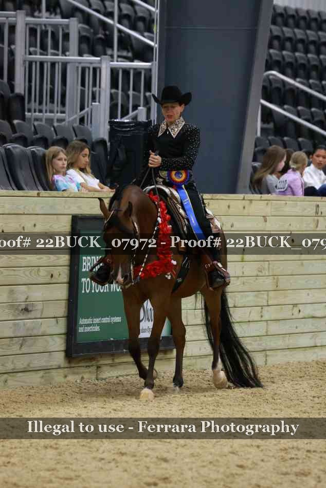 Proof 22BUCK_07972