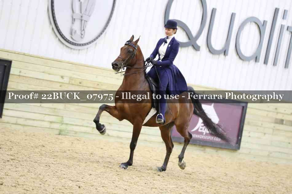 Proof 22BUCK_07975