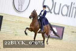 22BUCK_07975 proof